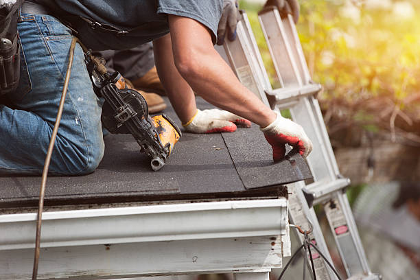 Roof Gutter Cleaning in Easton, PA